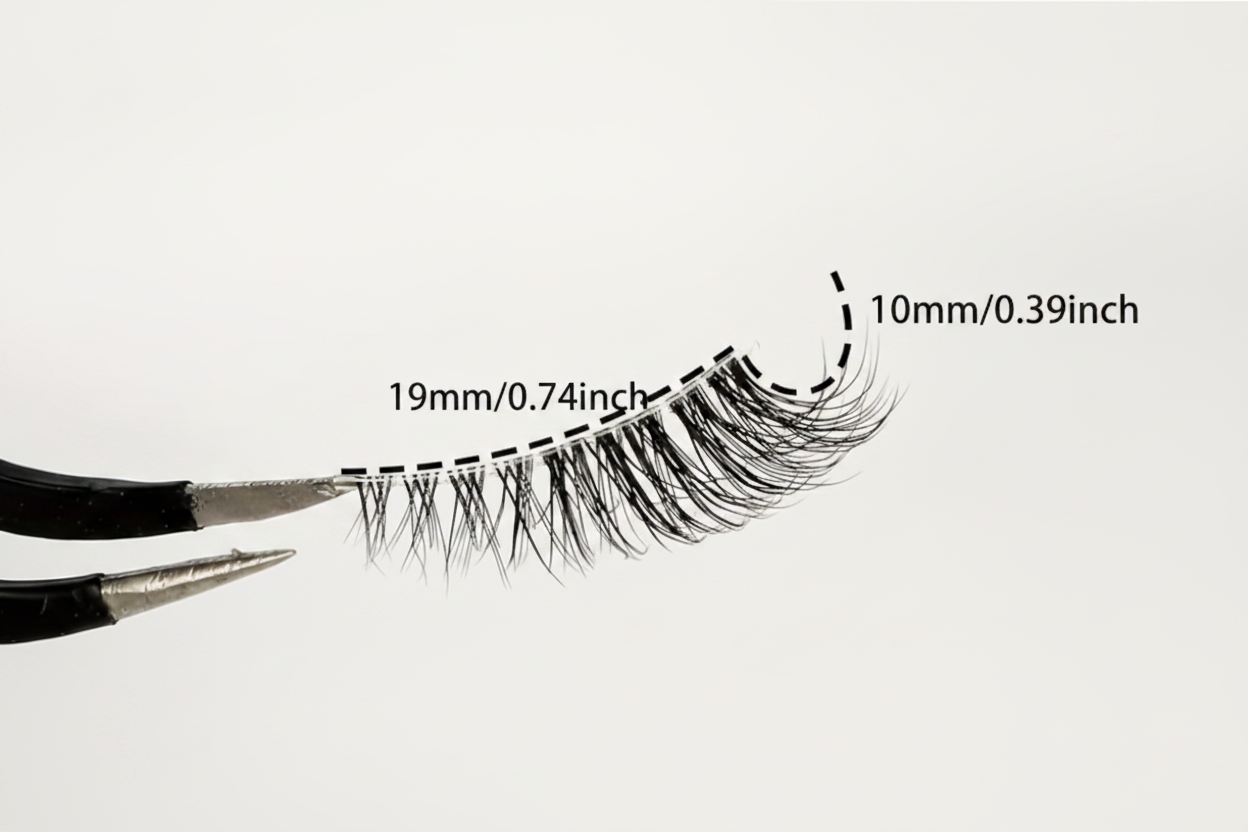 False Lash Dimensions