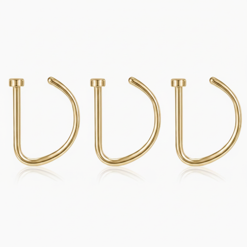 Gold D-Shape Nose Rings — White Background